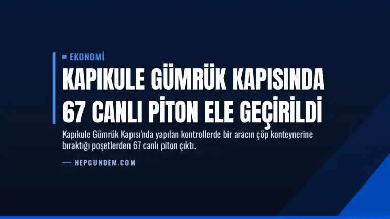 Kapıkule Gümrük Kapısında 67 Canlı Piton Ele Geçirildi