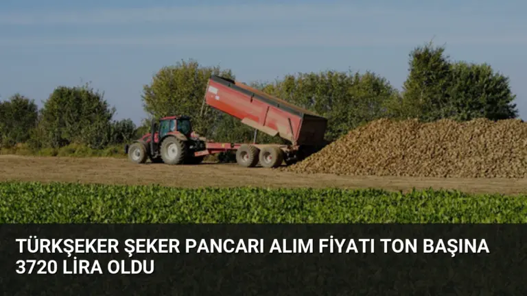 TÜRKŞEKER Şeker Pancarı Alım Fiyatı Ton Başına 3720 Lira Oldu